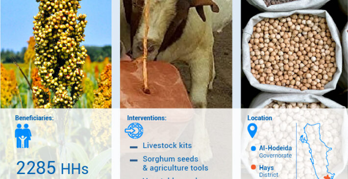 Asset 1-100 Asset 1-100