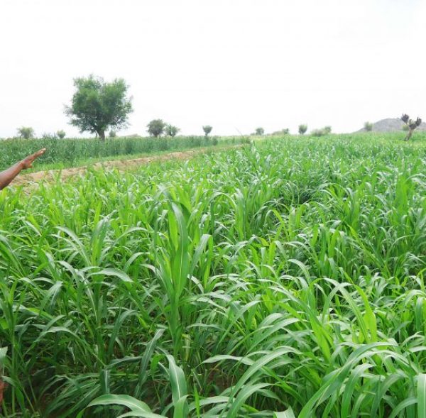 DSC0692111111-1110x550